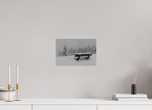 New Snow Bench