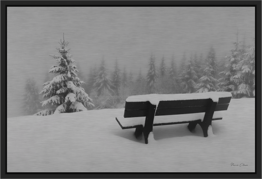 New Snow Bench