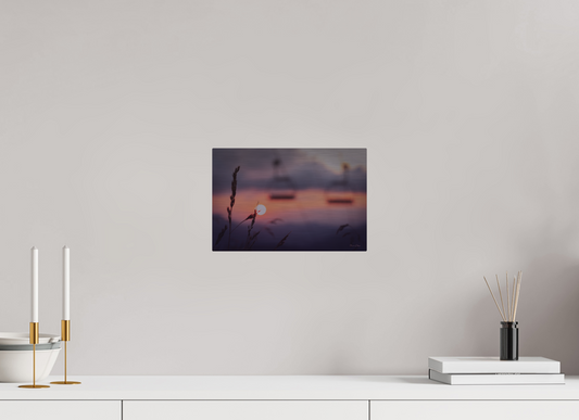 Sunset Grasses