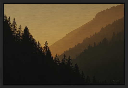 Hazy Ardent Trees